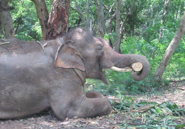 PHOTOS: Sunder in His New Home
