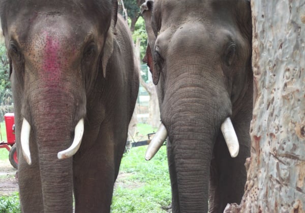 PHOTOS: Sunder’s First Week of Care