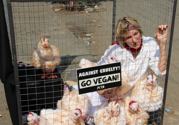 PETA Founder Awaits ‘Slaughter’ Outside KFC