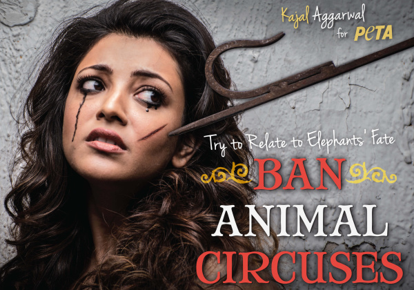 Kajal Aggarwal ‘Bleeds’ for Animals in Anti-Circus Ad