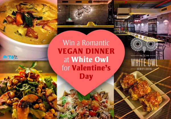 Mumbai: Win a Valentine’s Dinner at The White Owl