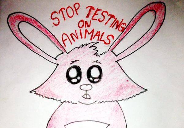 Doodles Against Animal Experimentation