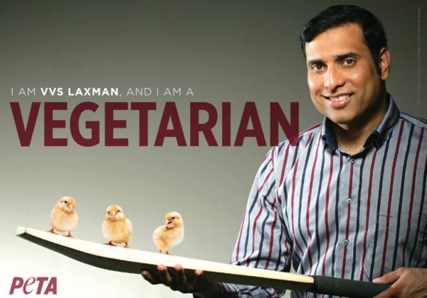 VVS Laxman Says, ‘Go Vegetarian’