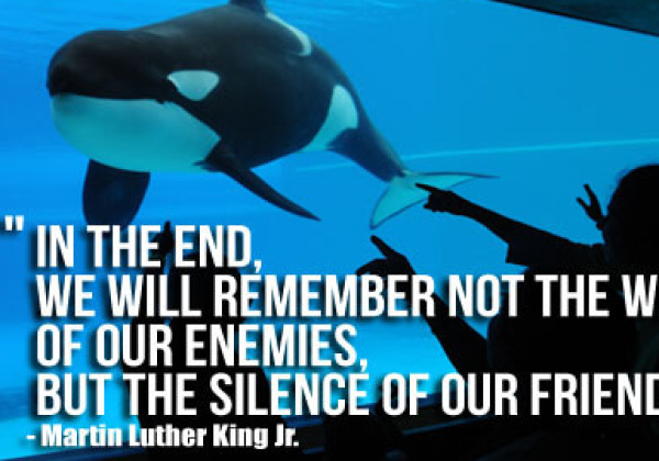 Martin Luther King Jr. and Animal Rights