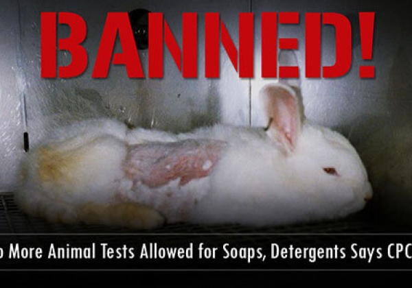 Indian Soap and Detergent Manufacturers Prohibited From Testing on Animals