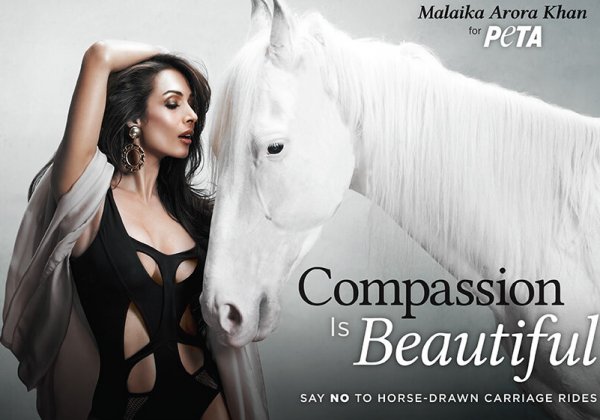 Malaika Arora Models Compassion for Horses