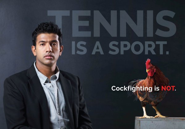 Rohan Bopanna Slams Cockfighting in New Ad