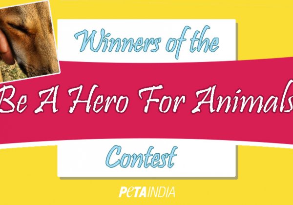 Winners of the ‘Be a Hero to Animals’ Contest