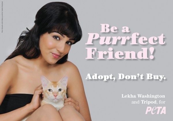 Lekha Washington Asks Fans to Adopt Homeless Animals