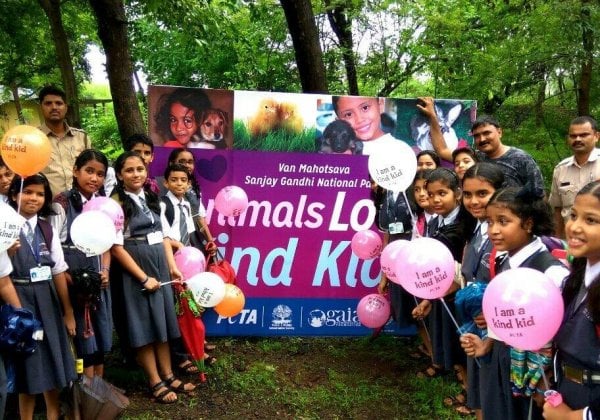 School Kids Learn About Animals in the Forest