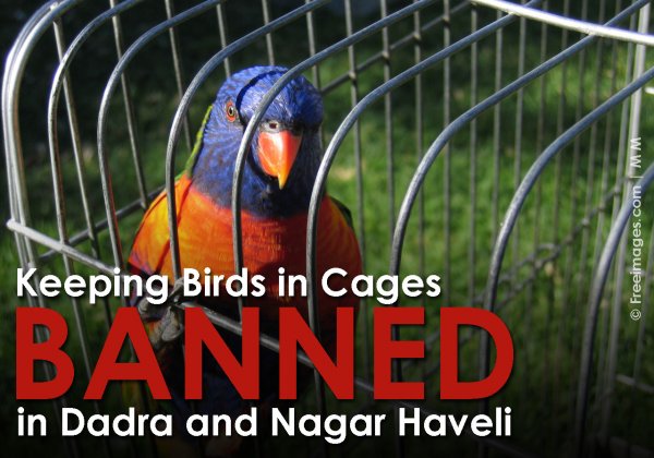 Dadra and Nagar Haveli Bans Caging of Birds
