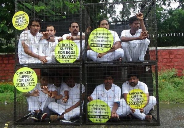 PETA Supporters ‘Caged’ in Bhopal