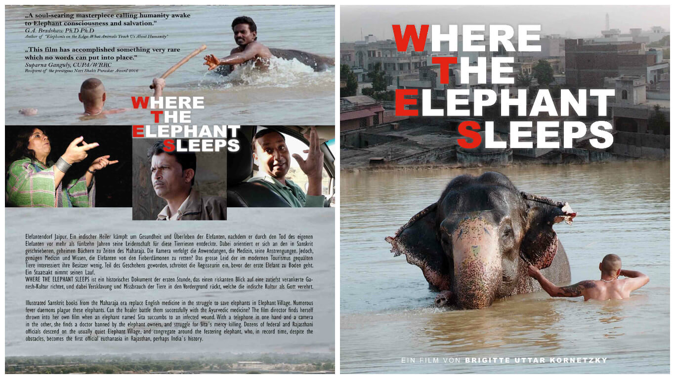 Attend A Free Screening Of 'where The Elephant Sleeps'