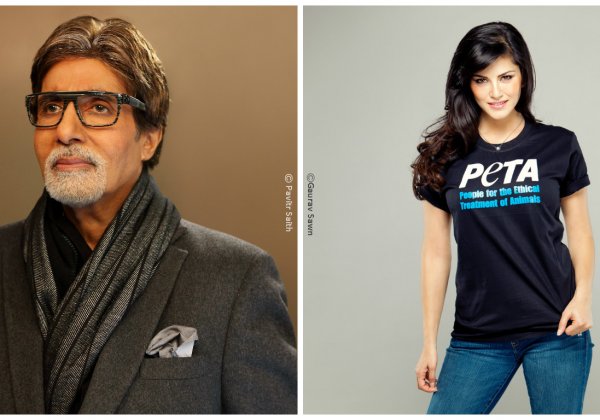 Amitabh Bachchan and Sunny Leone Take the Lead in PETA’s ‘Hottest Vegetarian Celebrity’ Contest