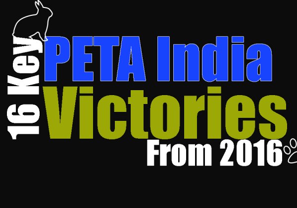 PETA India Wins Big for Animals in 2016