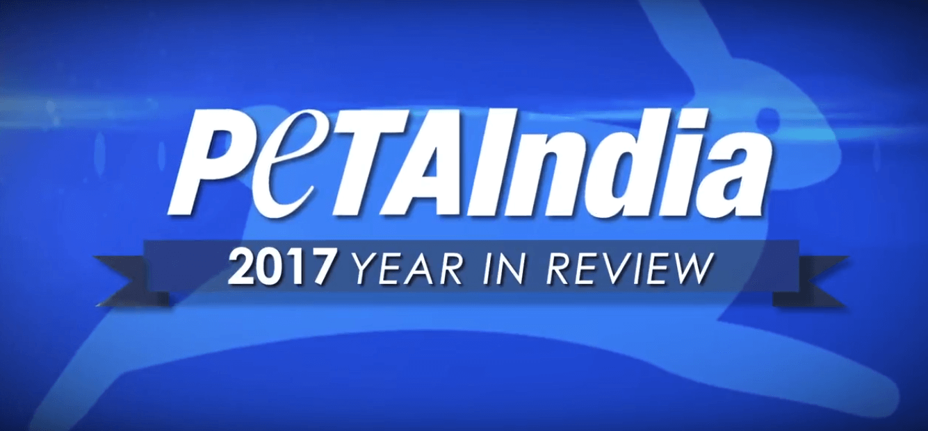 peta india person of the year 2017