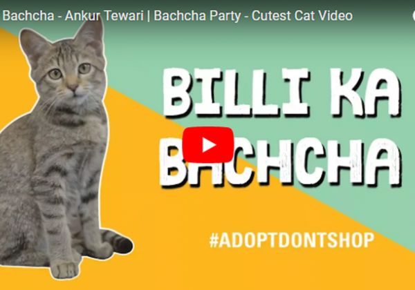 Ankur Tewari and Sony Music Celebrate PETA’s 18th Anniversary With Music Video Promoting Adoption of Homeless Cats