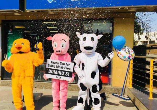 Animals Celebrate Domino’s’ Decision To Go Meat-Free Across Gujarat