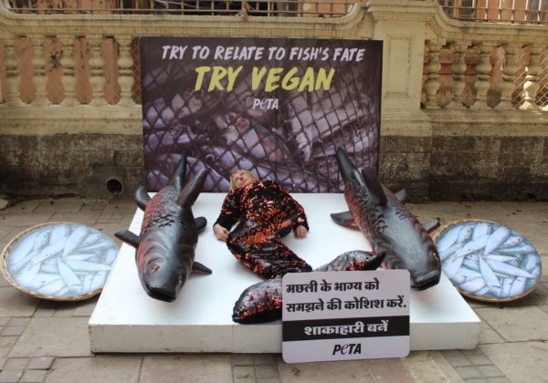 PETA India Founder Takes Fish’s Place in Mumbai Animal Rights Day Appeal