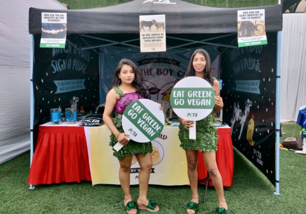 2018 Was a Banner Year for PETA Youth