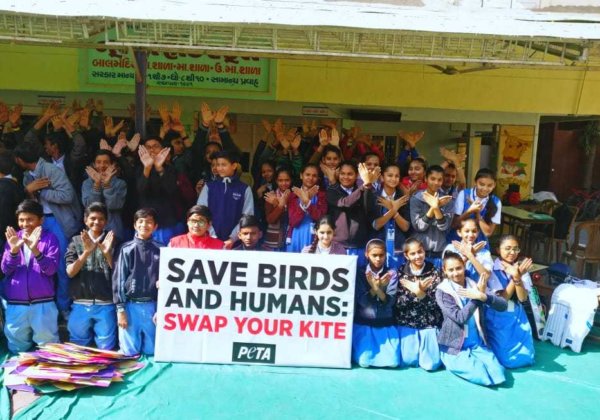 Ahmedabad Students Swap Kites for Games Provided by PETA India in Support of Manja Ban