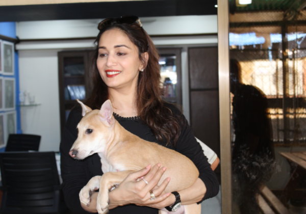 Madhuri Dixit and Dr Shriram Nene Add Colour to a Pup’s Life by Adopting Him