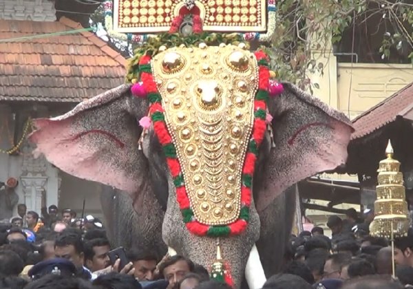 PETA India Appeals for Rehabilitation of Partially Blind Elephant Thechikottukavu Ramachandran