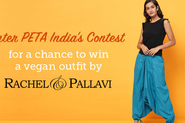 CONTEST IS CLOSED: Flaunt Your Vegan Style: Enter PETA India’s Rachel & Pallavi Contest