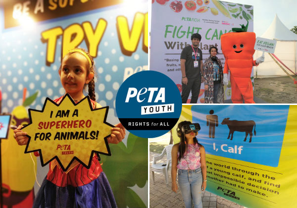 PETA युवा ने वर्ष 2019 के दौरान पूरे भारत में दया एवं करुणा बढ़ाने का कार्य किया