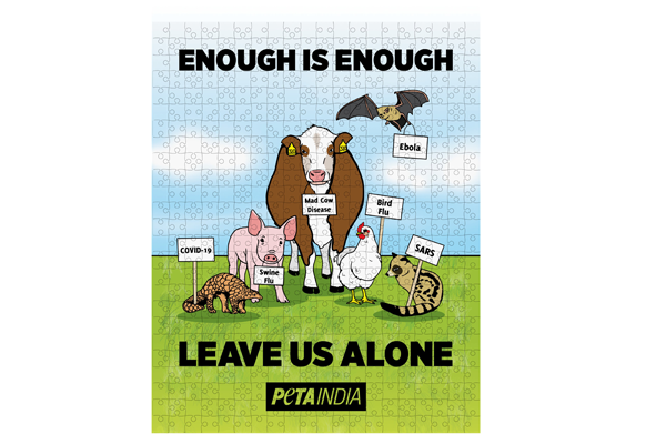 PETA इंडिया द्वारा प्रधानमंत्री श्री नरेंद्र मोदी जी को वैश्विक महामारी पर आधारित भेजी गयी पहेली को डिलीवरी का इंतज़ार है।