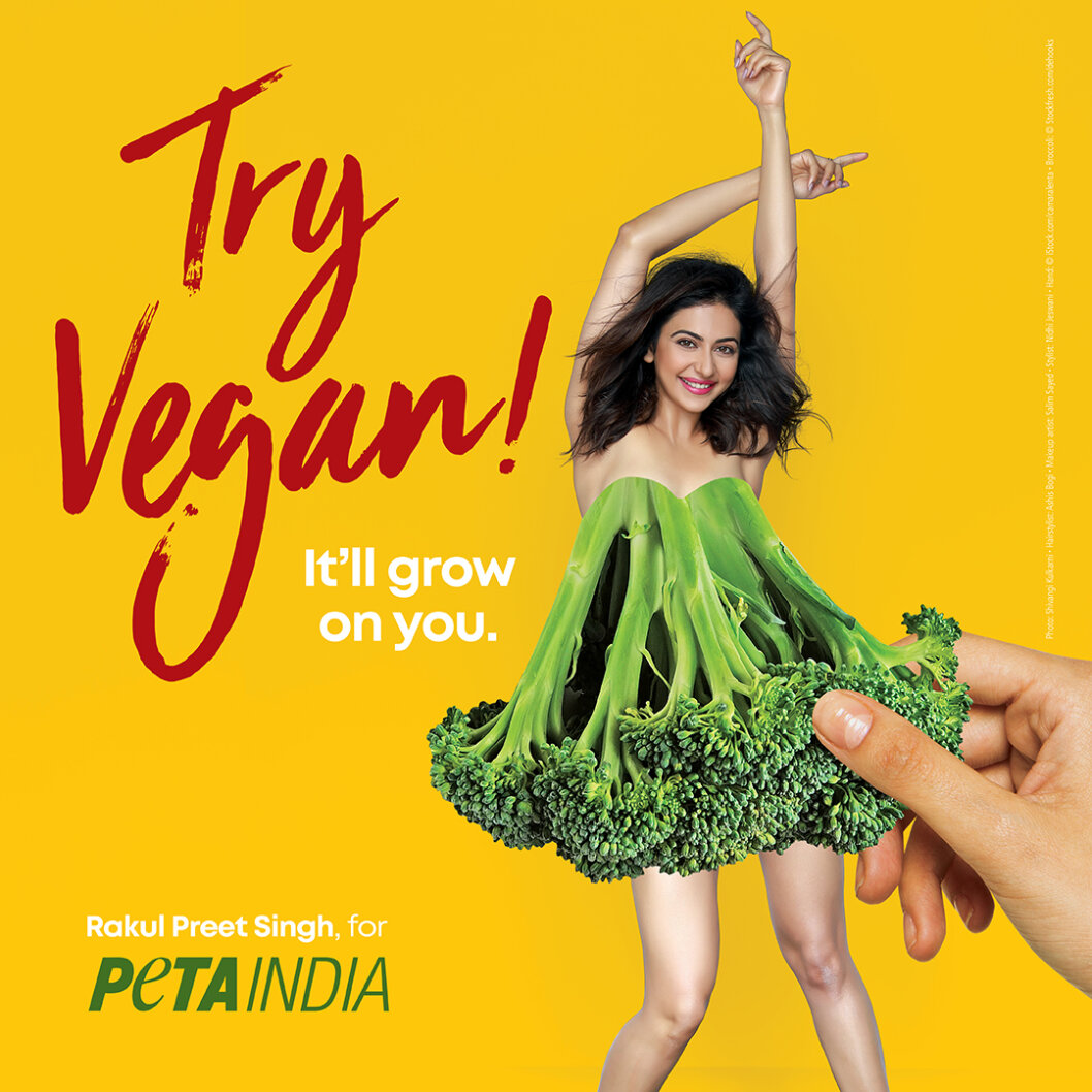 reasons-to-go-vegan-this-world-health-day-blog-peta-india