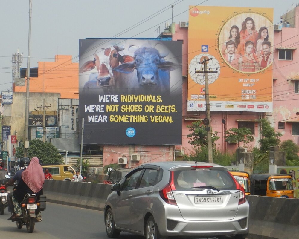 New PETA India Billboards Ask Shoppers to Ditch Wool, Leather, and ...