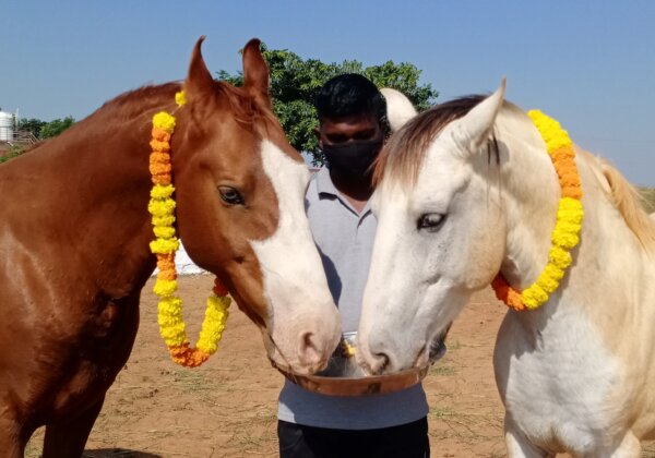 This Diwali, Rescued Animals Have Reason to Celebrate