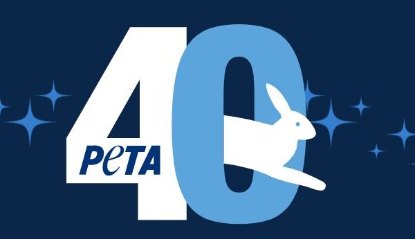 PETA US की 40वीं सालगिरह के उत्सव में कई नामी हस्तियां शिरकत करेंगी