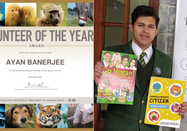 प्रयागराज के छात्र ने जीता साल 2020 का PETA इंडिया ‘वालंटियर ऑफ द ईयर’ अवार्ड