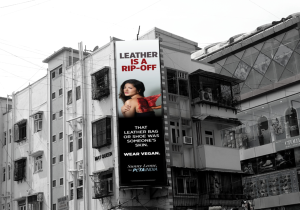 The Best PETA India Billboard Campaigns of 2020