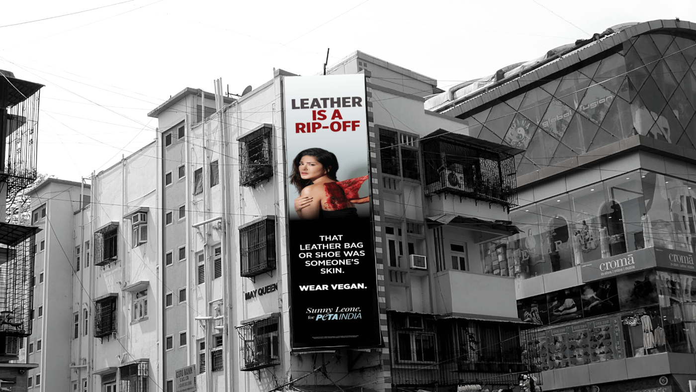 The Best PETA India Billboard Campaigns of 2020 Blog PETA India
