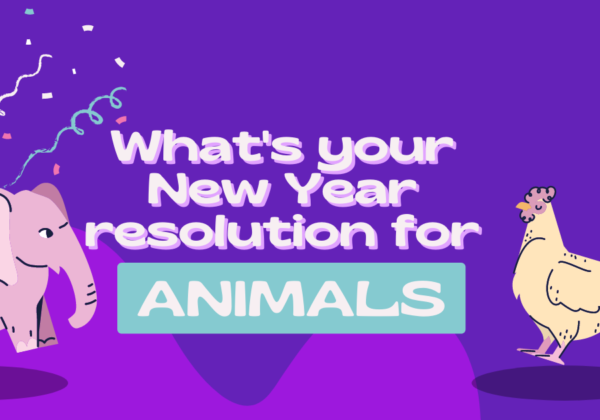 Make a New Year’s Resolution to Help Animals!