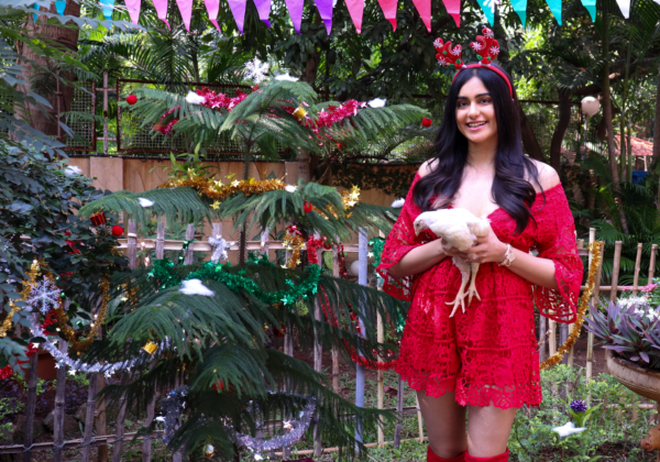 Actor Adah Sharma Hosted PETA India’s Christmas Lunch for Rescued Chickens