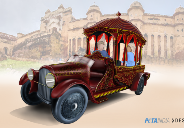 PETA इंडिया और “Desmania Design” ने आमेर के किले में हाथीसवारी की जगह “शाही इलेक्ट्रिक गाड़ी” इस्तेमाल करने का सुजाव दिया