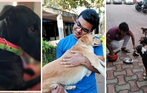 IIT Bombay Students Save Animals’ Lives