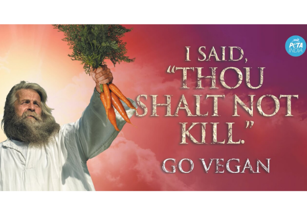 ‘Thou Shalt Not Kill’ PETA India Billboards Rise in Cities