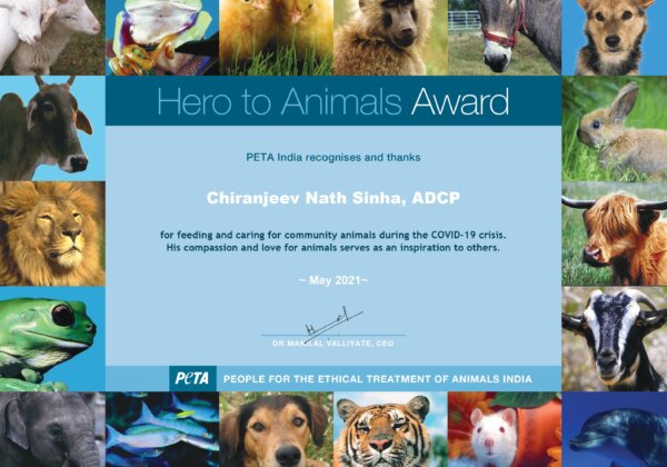 जानवरों की मदद करने के लिए लखनऊ के एडिशनल डिप्टी कमिश्नर ऑफ पुलिस को PETA इंडिया की ओर से पुरुस्कार