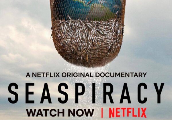 6 Lessons We Can Learn From the Netflix Documentary ‘Seaspiracy’