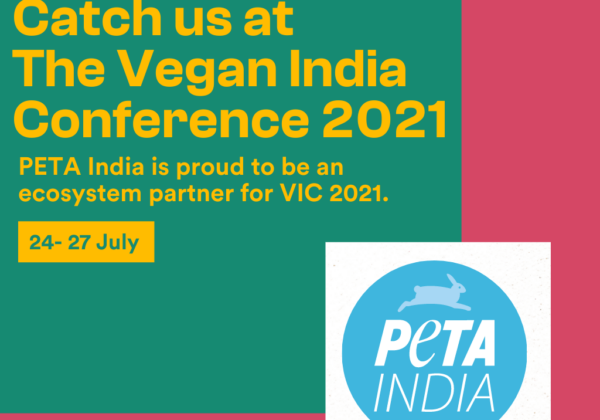PETA India at the Vegan India Conference: Here’s What You Missed!