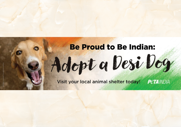 New Independence Day PETA India Billboard Campaign Encourages Animal Adoption
