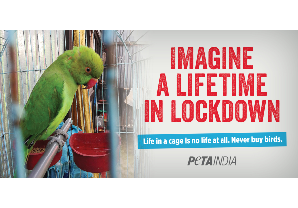 PETA India’s ‘Eternal Lockdown’ Display Urges Freedom for Caged Birds
