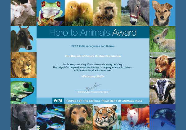 PETA India Honours Pune Firefighters for Saving the Lives of 10 Cats Caught in a Fire