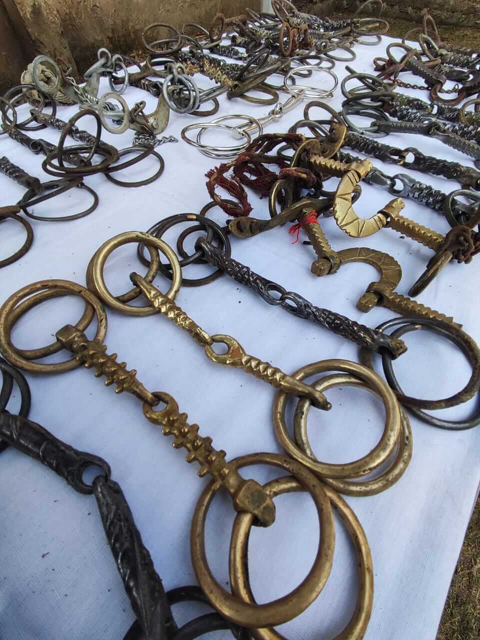 Chandigarh Police and PETA India Displays 200 Seized Spiked Bits Used to  Control Horses in Weddings - Blog - PETA India