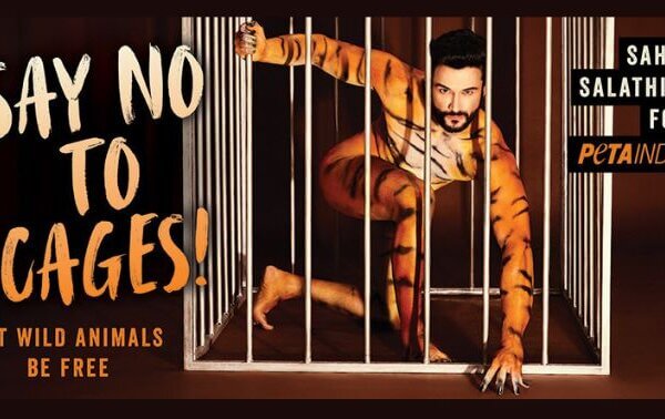 अभिनेता साहिल सलाथिया ने अंतरराष्ट्रीय बाघ दिवस के अवसर बॉडी-पेंटिंग द्वारा पिंजरे की क्रूरता को प्रदर्शित किया!